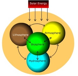 Environment